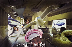 Borneo, in the train from Tenom to Beauford i had a dream... by Manfred Bail 